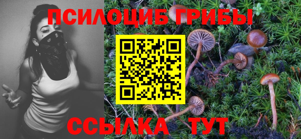 Галлюциногенные грибы мухоморы  Вход с VPN  Жуковский 